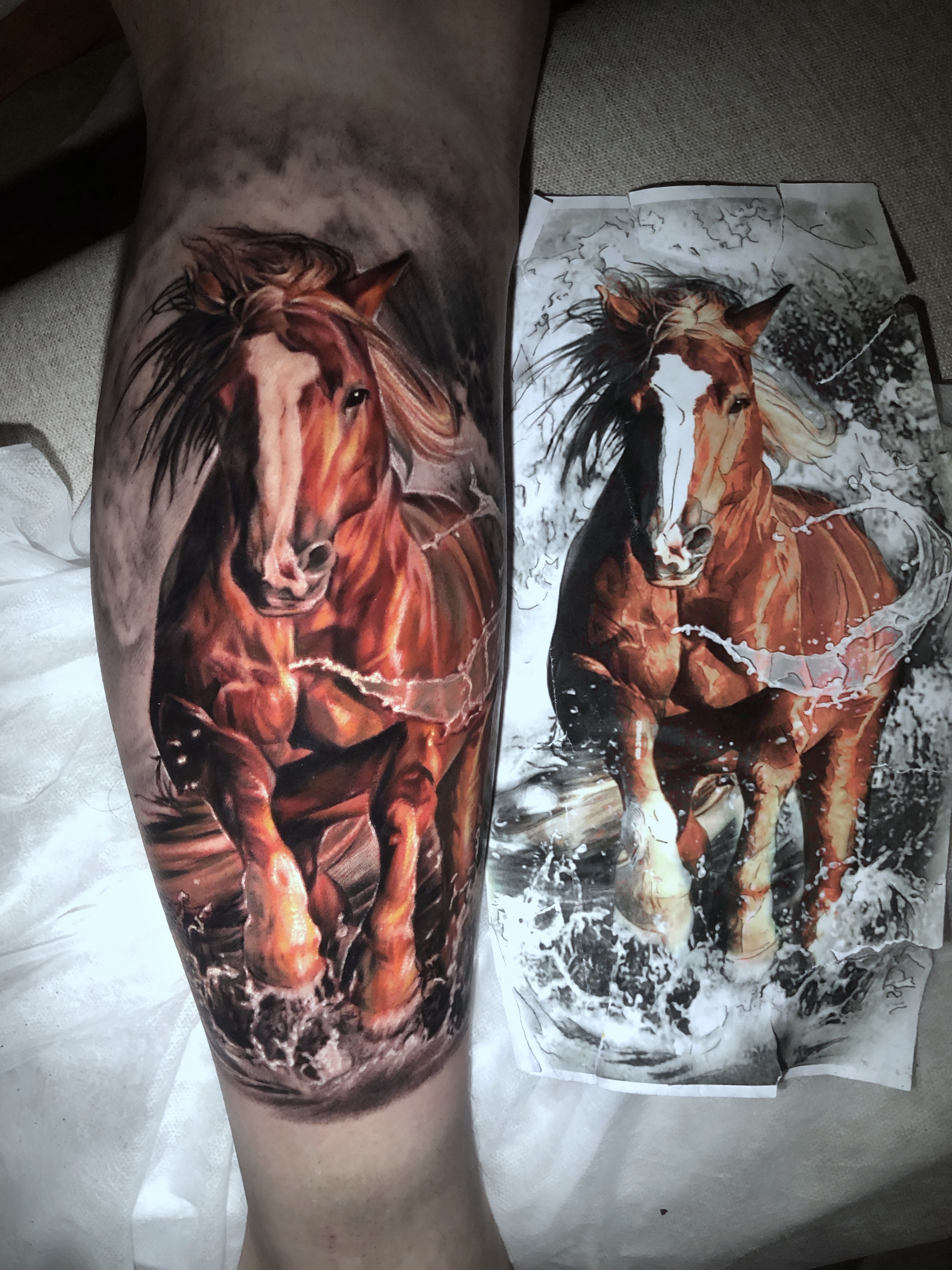 Realistic Color Horse Tattoo Art by Cathy - Chongqing Tattoo Artist Specializing in Detailed Animal Ink